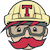 Wise and TravisCI integration
